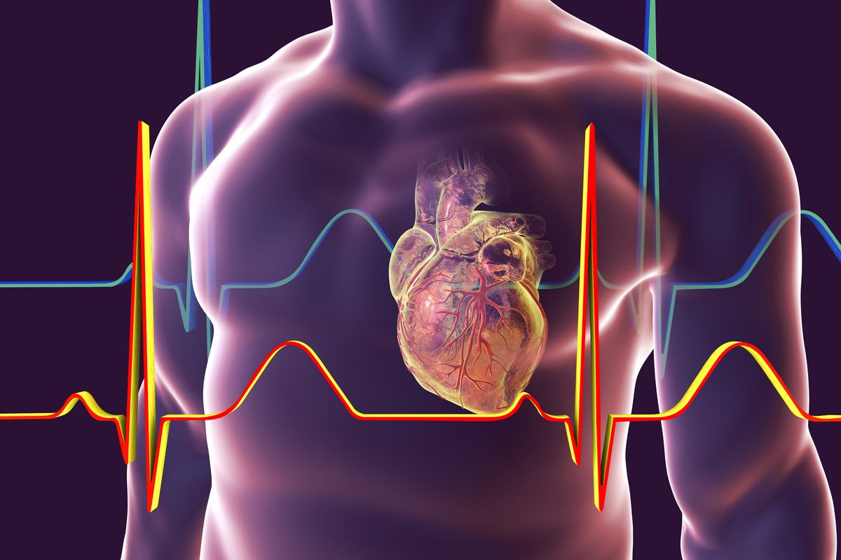 Heart Valve Disease